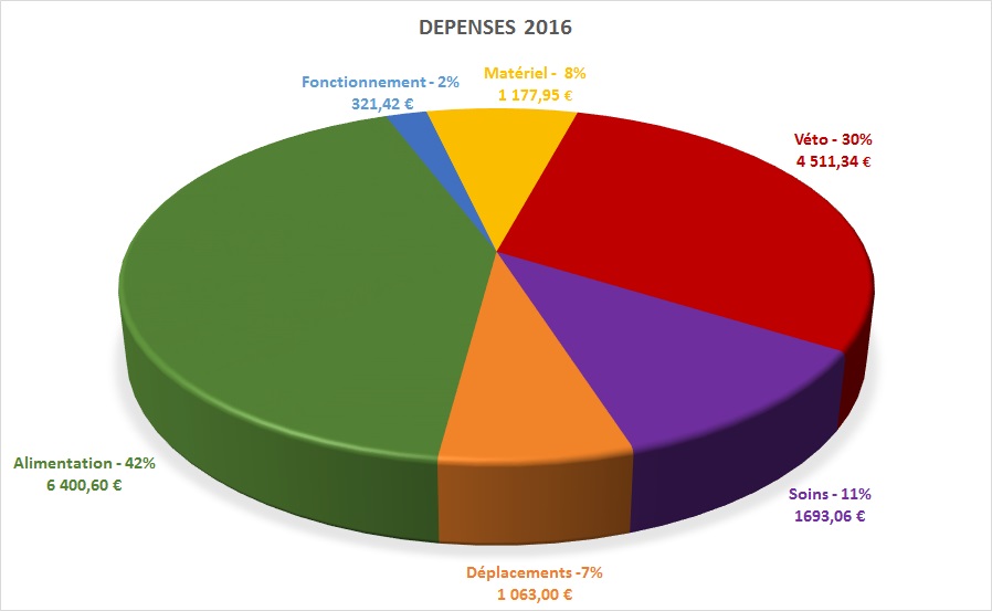 Bilan dépenses 2016